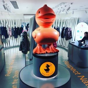 Meet your Posher, Alexander